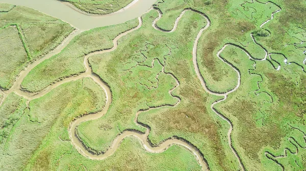 Vista Aérea Del Pantano Serpentino Atravesado Por Río — Foto de Stock