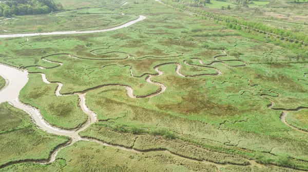 Vista Aérea Del Pantano Serpentino Atravesado Por Río — Foto de Stock