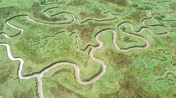 Vista Aérea Pântano Serpentino Atravessado Por Rio — Fotografia de Stock