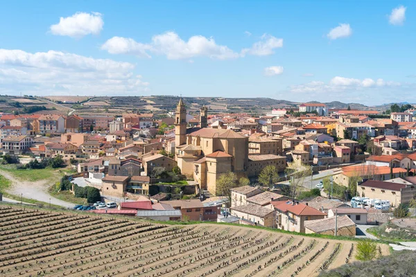 Panoramautsikt Över Elciego Stad Med Berömd Vingård Bakgrunden — Stockfoto