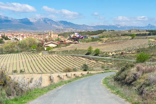 Panoramablick Auf Die Stadt Elciego Mit Dem Berühmten Weingut Hintergrund — Stockfoto