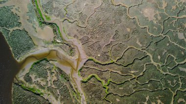 Bataklık manzarası