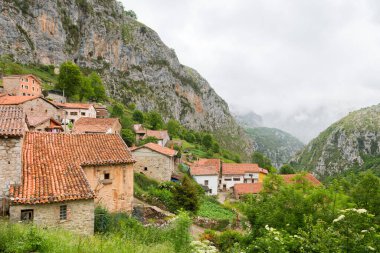 İspanya 'nın Cantabria kentindeki kırsal köy.