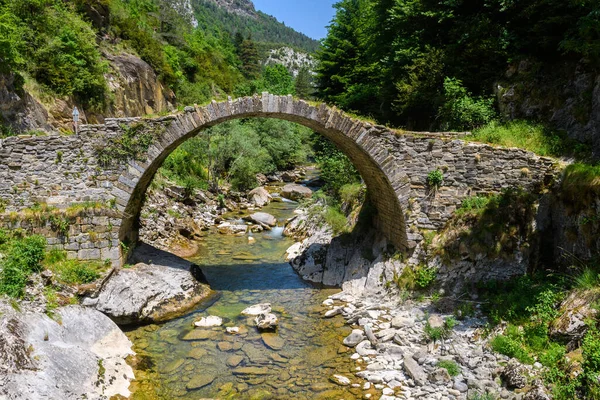 Utsikt Över Gamla Romerska Bron Ruiner Korsas Flod Pyrenéerna Spanien — Stockfoto