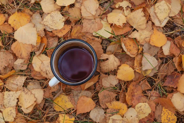 Sonbahar altın yapraklarında sıcak çay ile Enamel kupası