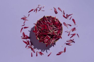 Mor renkli kasımpatı yaprakları pastel menekşe arka planda bir kasede düz bir şekilde duruyordu.,