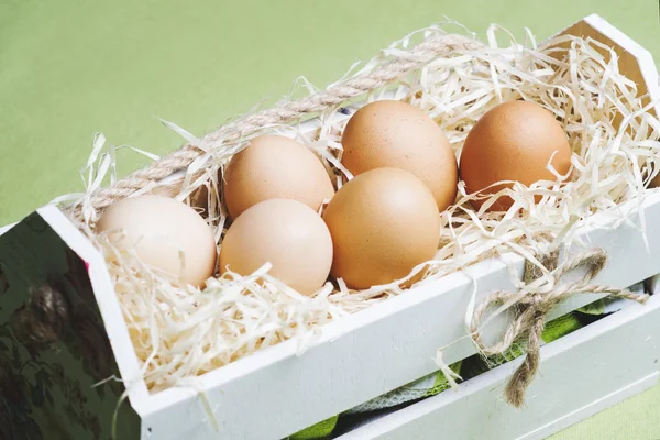 Fresh brown eggs Royalty Free Stock Images