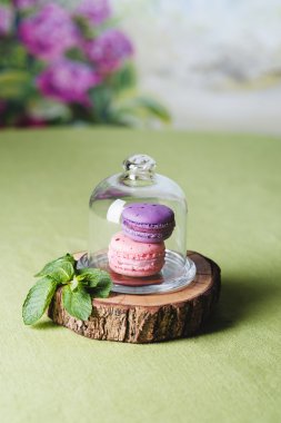 Macarons cam