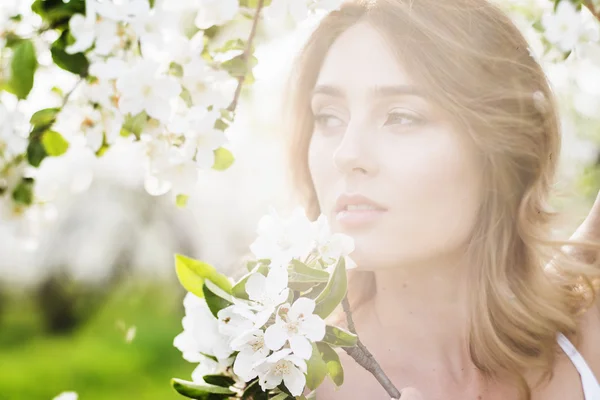 Retrato de bela senhora romântica em flores de árvores de maçã — Fotografia de Stock