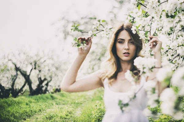 Portret van mooie romantische dame in appel bomen bloesem — Stockfoto