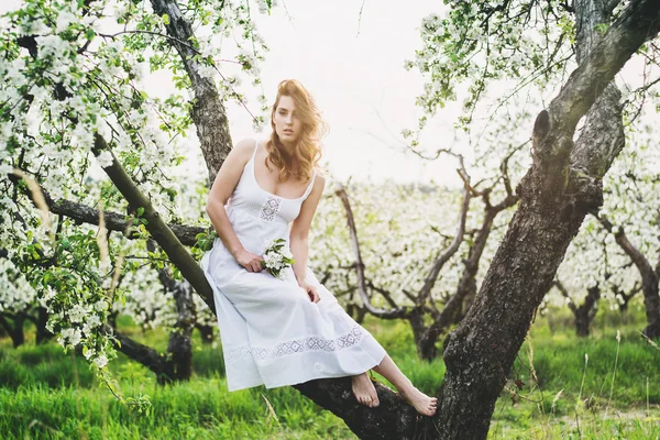 Porträt der schönen romantischen Dame in Apfelbäumen blüht — Stockfoto