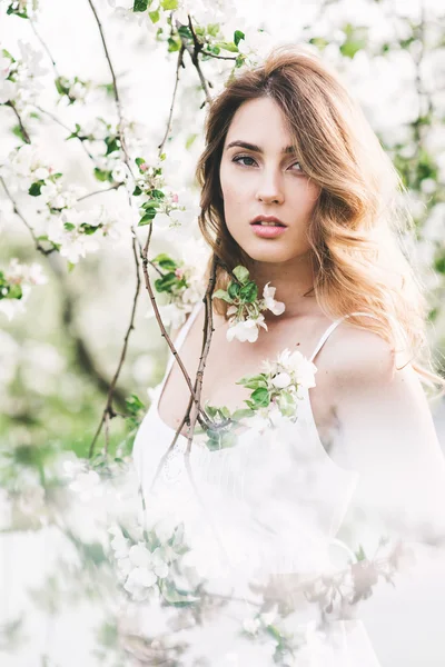 Retrato de hermosa dama romántica en flores de manzanos —  Fotos de Stock