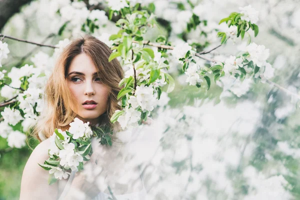 Retrato de hermosa dama romántica en flores de manzanos —  Fotos de Stock