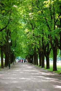 Oslo Park yolu