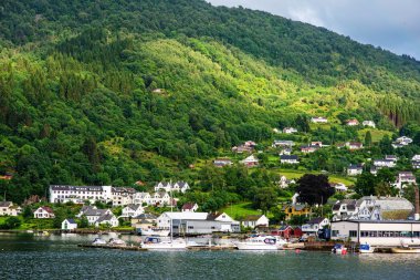 küçük norwagian kasaba