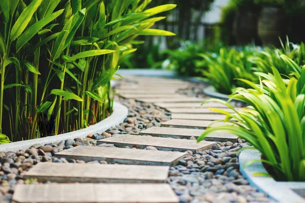 Alley in tropical garden Stock Image