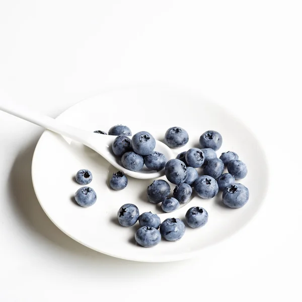 Blueberries on white background — Stock Photo, Image