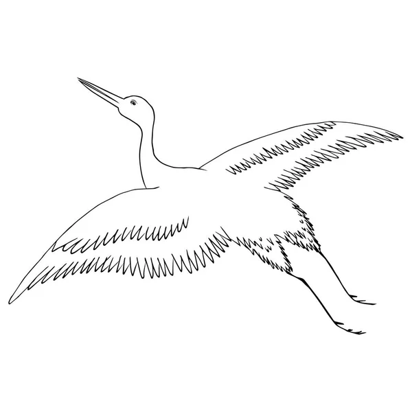 Gru Disegno Sagoma Uccelli Aironi Volanti — Vettoriale Stock