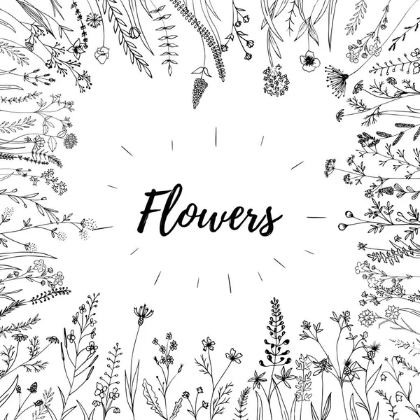 Elementos Flores Vectoriales Dibujados Mano Salvaje Libre Perfecto Para Invitaciones — Vector de stock