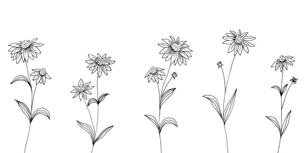 手工绘制的一套灵丹妙药花 花儿和树叶 药用植物 草药茶料 — 图库矢量图片