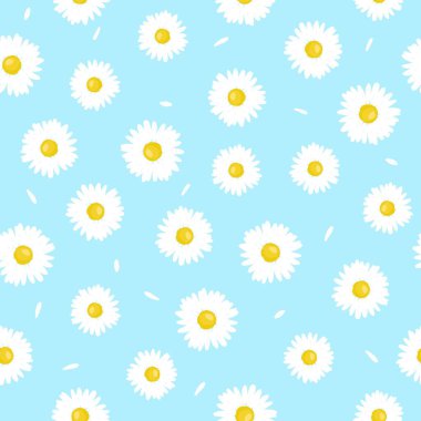 Yapraksız desenli papatya çiçeği. Basit yaz döngüsü.