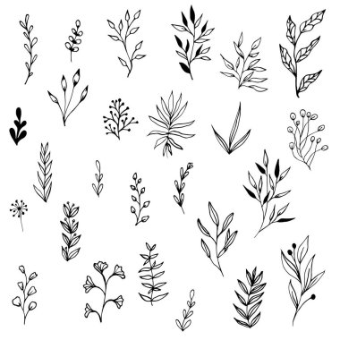 Tahsilat karalama tarzı yapraklar ve dallar. Tasarım ögesi.