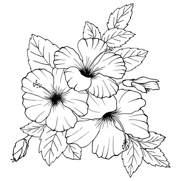 Рисунок Эскиз Цветов Гибискуса Белом Фоне — стоковый вектор