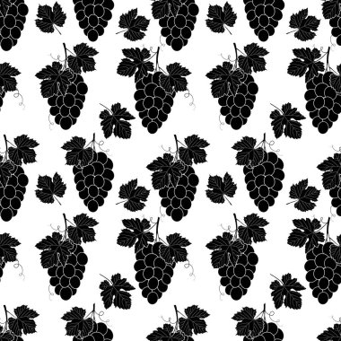 Beyaz arkaplanda siyah üzüm demeti.