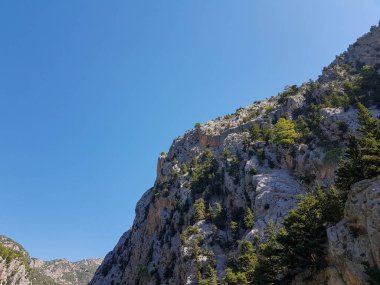 Güneşli, bulutsuz bir günde, dağların arka planına karşı deniz manzarası.
