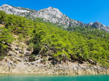Güneşli, bulutsuz bir günde, dağların arka planına karşı deniz manzarası.