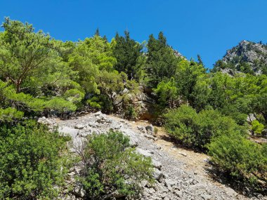 Güneşli, bulutsuz bir günde, dağların arka planına karşı deniz manzarası.