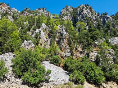Güneşli, bulutsuz bir günde, dağların arka planına karşı deniz manzarası.