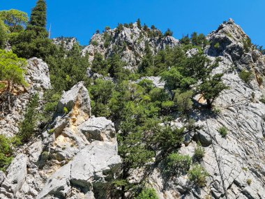 Güneşli, bulutsuz bir günde, dağların arka planına karşı deniz manzarası.