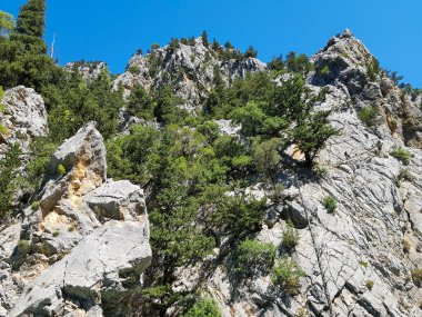 Güneşli, bulutsuz bir günde, dağların arka planına karşı deniz manzarası.