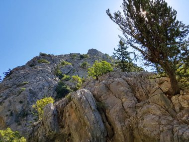 Güneşli, bulutsuz bir günde, dağların arka planına karşı deniz manzarası.