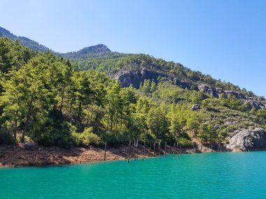 Güneşli, bulutsuz bir günde, dağların arka planına karşı deniz manzarası.