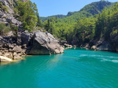 Güneşli, bulutsuz bir günde, dağların arka planına karşı deniz manzarası.
