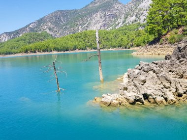 Güneşli, bulutsuz bir günde, dağların arka planına karşı deniz manzarası.
