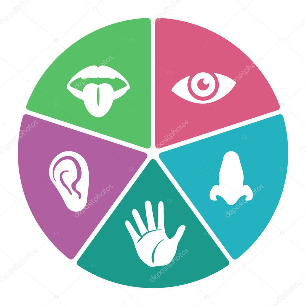 Five senses icons in diagram shape