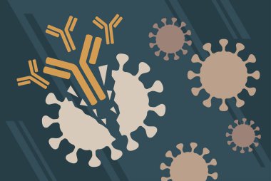 Antikor bağışıklık sistemi posteri 