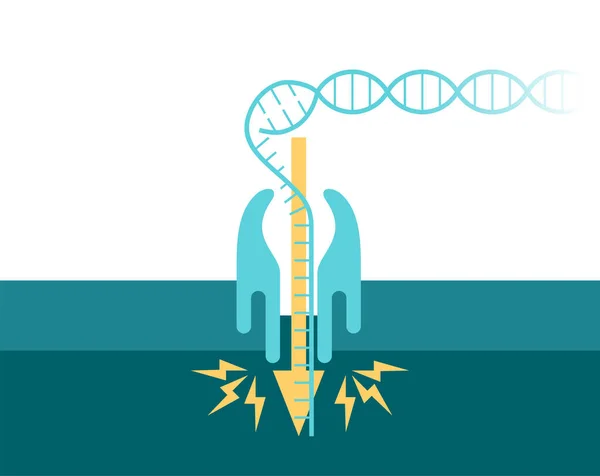 DNS áthalad a nanorészecskén — Stock Vector