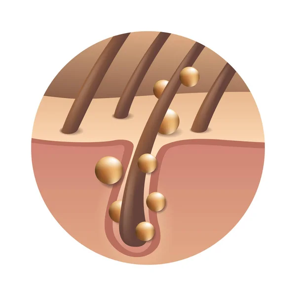 Saç yenileme ve parlaklık formülü simgesi