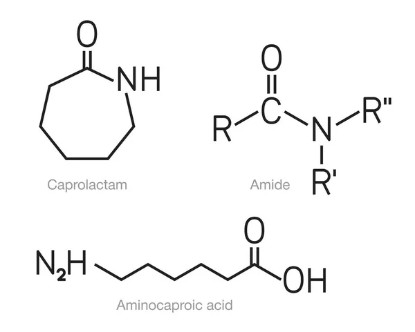 Kaprolaktam, amid- och aminokapronsyra — Stock vektor