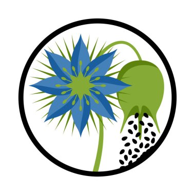 Black seeds - nigella sativa flower, fetus icon