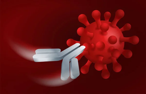 Antibody action destroys virus — Stock Vector