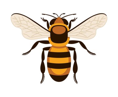 Arı simgesi. Beyaz arkaplanda düz renklerde uçan böcek