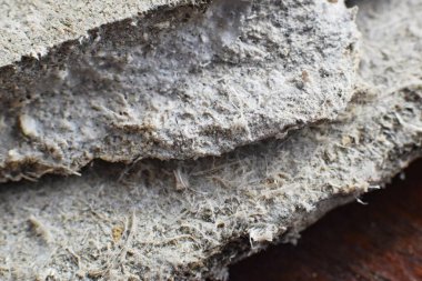 Çatıdaki malzemelerin asbest lifleriyle detaylı fotoğraflanması. Sağlık zararlı ve zararlı etkiler. Mikroskobik liflerin uzun süre solunması akciğer kanseri de dahil olmak üzere ölümcül hastalıklara yol açar.. 