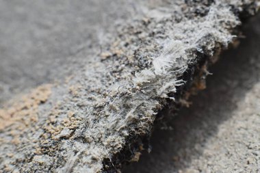 Çatıdaki malzemelerin asbest lifleriyle detaylı fotoğraflanması. Sağlık zararlı ve zararlı etkiler. Mikroskobik liflerin uzun süre solunması akciğer kanseri de dahil olmak üzere ölümcül hastalıklara yol açar.. 