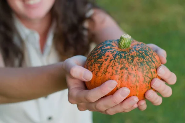 Fresh Pumpkin Woman Gardener Hands — Stock Photo, Image