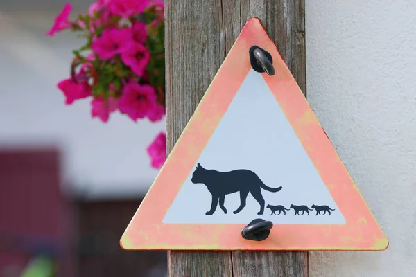 Warning sign - domestic animals crossing the street